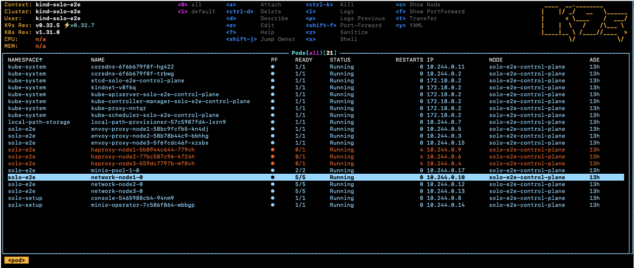 k9s pod list showing network nodes
